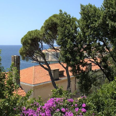 Tole Apartment Dubrovnik Dış mekan fotoğraf