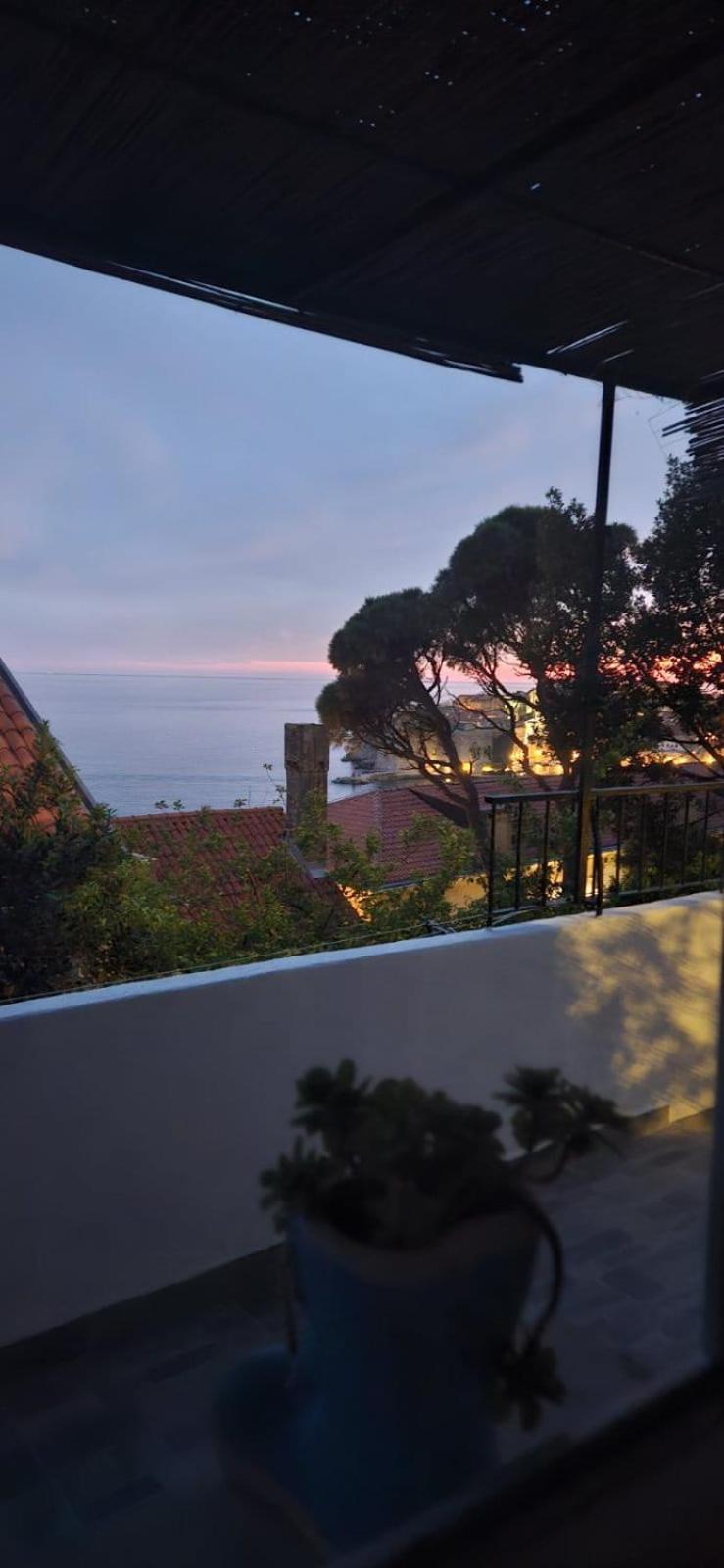 Tole Apartment Dubrovnik Dış mekan fotoğraf